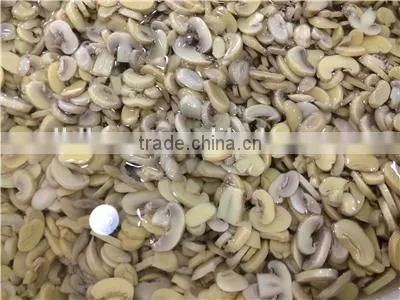 Brine Meter Light Yellow Mushroom Slices Brine Champignon Mushroom High Quality Champignon Mushrooms Brine Salted Boiled in Bag photo-4