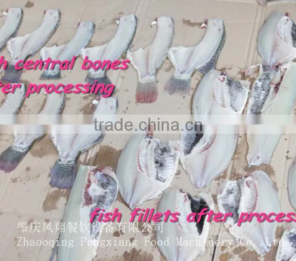 FGB-170 Automatic Stainless Steel Fish Cutting Machine,fish Fillet Machine photo-6