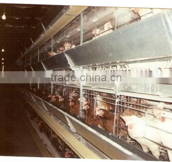 Poultry Cages