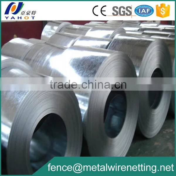 1250mm Galvanized Iron Steel Coil photo-4