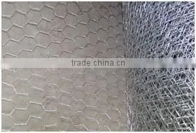 Hot Sale Hexagonal Wire Netting photo-2