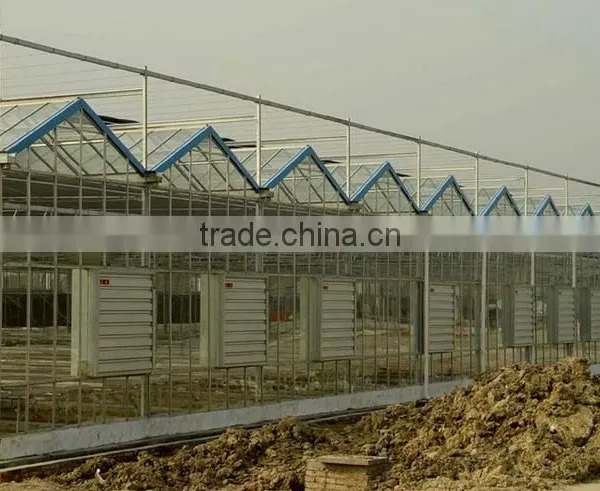 Commercial Greenhouse for Agriculture photo-4