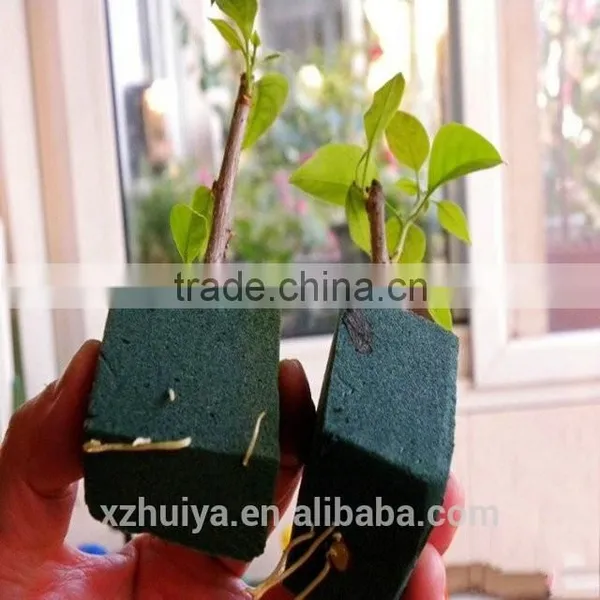 Hydroponic Seeding Growing Sponge for Vegetables photo-4