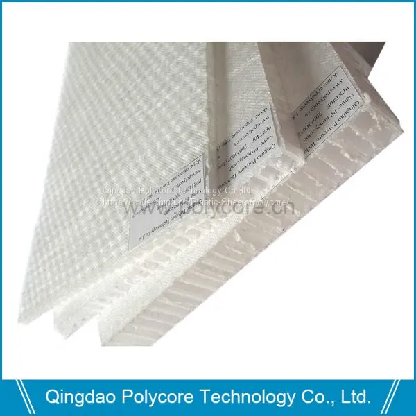 Light Weight Stiffness PP Honeycomb Act as Structural Panel in Building photo-5