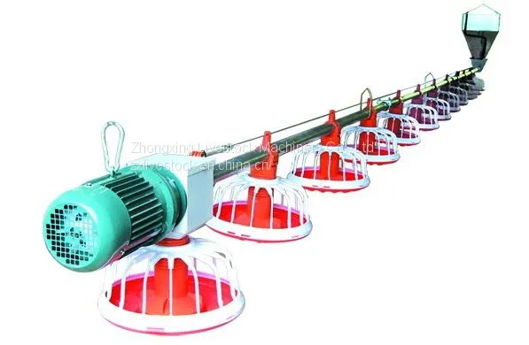 Chicken Pan Feeding System