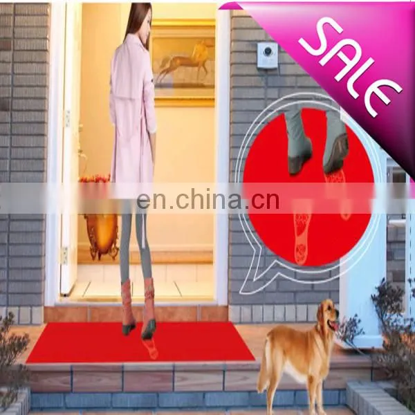 Dog Accessories Pet Product Dog Sticky Mat photo-5