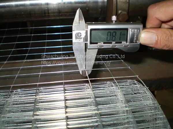 Stainless Steel Welded Wire Mesh photo-2