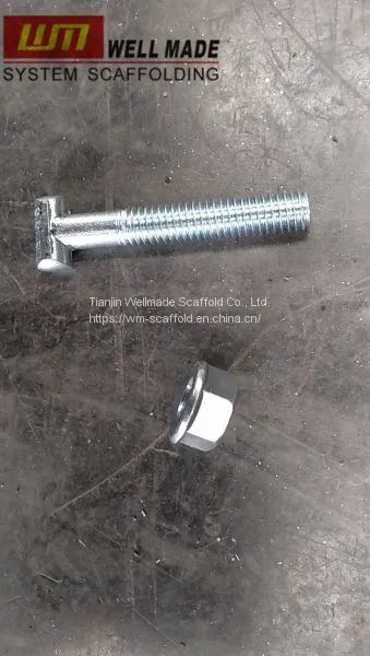 EN 74/ BS1139 HDG&E-galvanized Drop Forged Tubular Fitting Clamp photo-5
