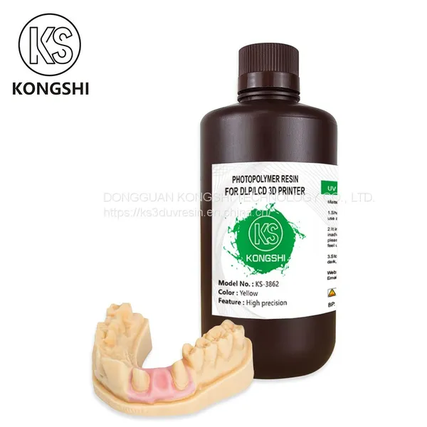 3D Dental Teeth Model Resin photo-2