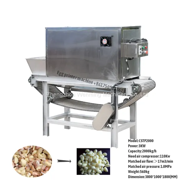 Commercial Chain Type Garlic Peeling Machine High Capacity Garlic Peeling Machine Automatic Garlic Peeler Machine photo-4