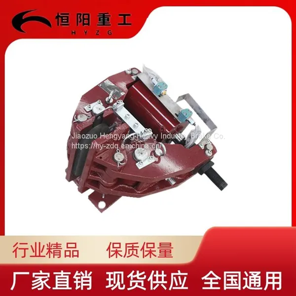 Hengyang Heavy Industry Hydraulic Safety Brake SBD240-D Limit Switch photo-3