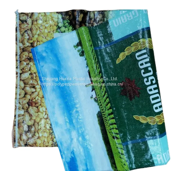 Block Bottom Valve Sandwich Bags 25kg 40kg 50kg for Packaging Frozen Fish, Food Products Wholesale photo-3