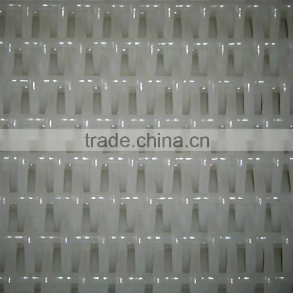 Double Layer 100% Polyester Dryer Fabrics for Paper Making Machine photo-4