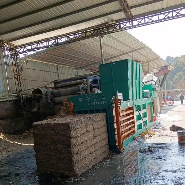 Hydraulic Cardboard Box Waste Plastic Bottle Baler Machine for Wood Cartons Cans Belts Pouches Featuring Pump Horizontal Design photo-6