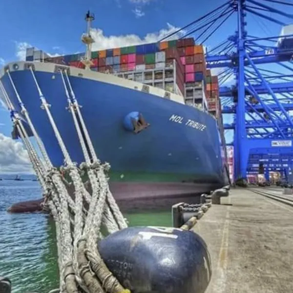 Smart Yard Operations: How Container Cranes Accelerate Global Exports photo-4