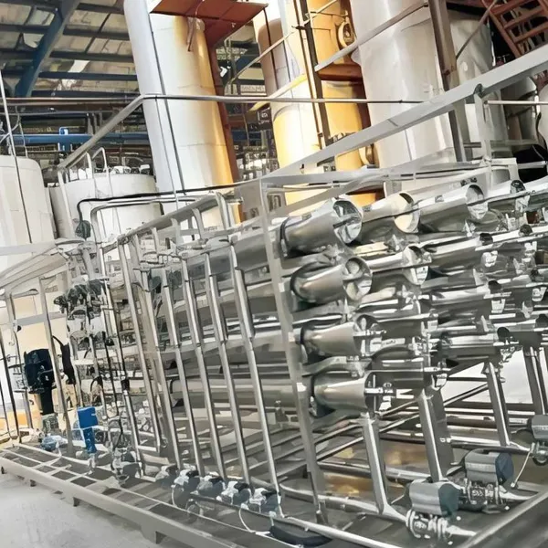 Full-Automatic Beverage Processing Machinery Whole Production Line Membrane Clarification Membrane Filtration Equipment photo-3