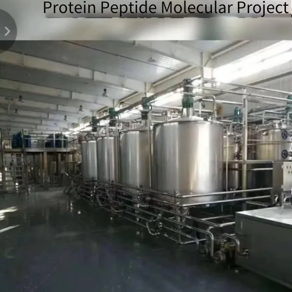 hongshun technology reactor supplier, shipped within 24 hours