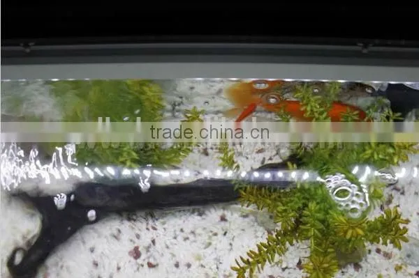 IP68 Waterproof Patented V-0 Underwater LED RGB Display CE UL Approved photo-2