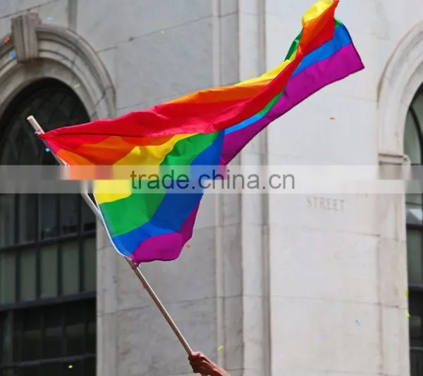 Custom Size Polyester Printed Type Rainbow Flag photo-2