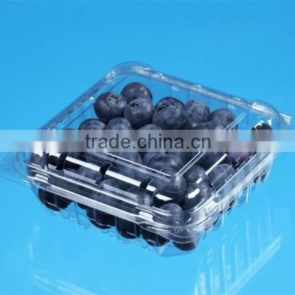 High Quality Plastic Fruit Box Container photo-4