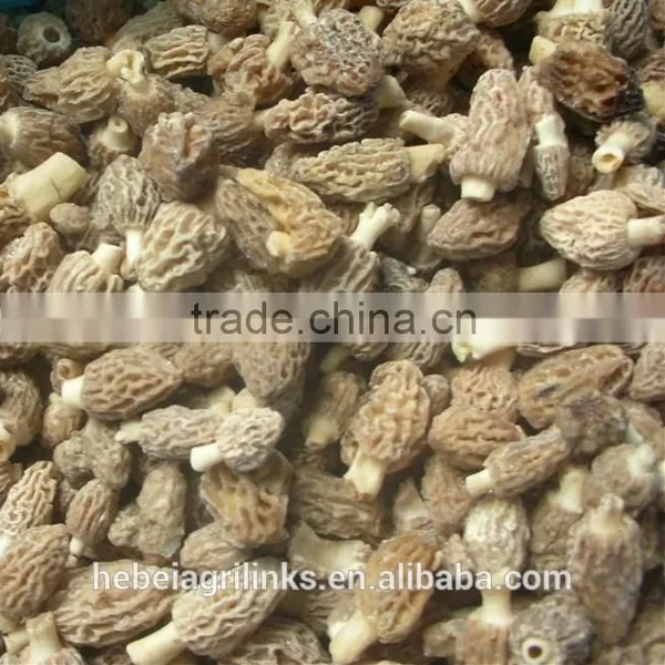 IQF Frozen Style Chinese Morel Mushroom photo-5