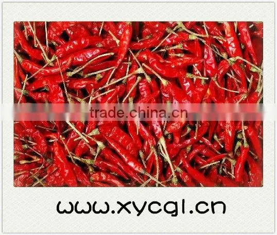 Pepper Drying Line photo-2