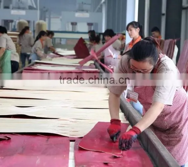 High Quality Quick Assembly Slab Formwork System With Ring Lock Scaffolding photo-4