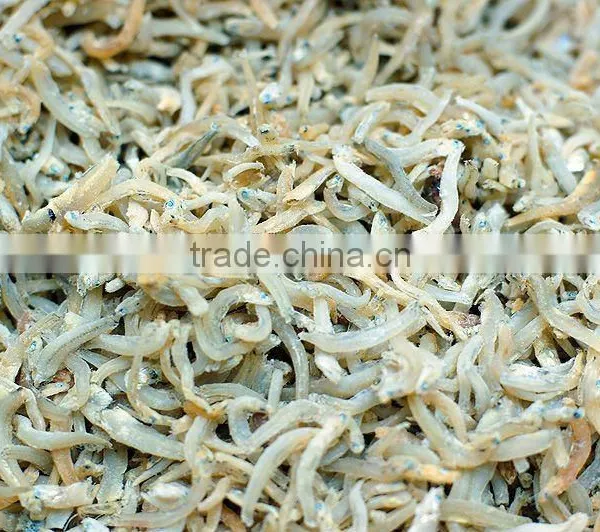 DRIED ANCHOVY