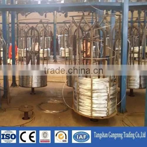 Galvanized Wire, Binding Wire gi Wire 3mm photo-2