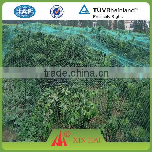 Xinhai Brand PE Fishing Net Agricultural Chap Anti Bird Netting Manufacturer photo-2
