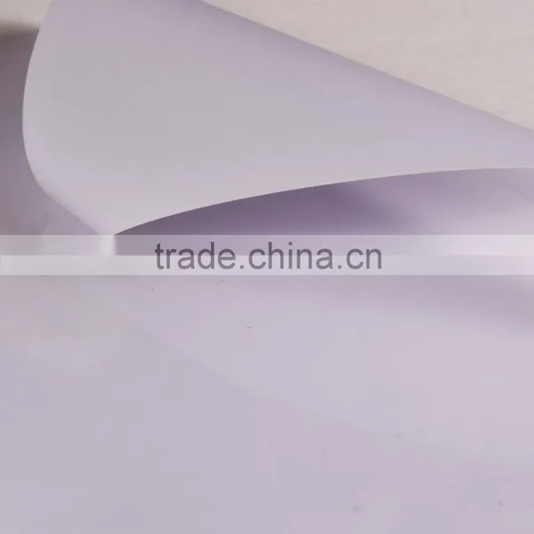 Solvent Digital Printing PVC Flex Banner/Backlit PVC Flex Banner/PVC Frontlit Banner Flex photo-5