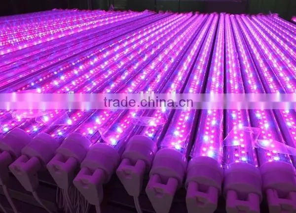 CE ROHS UL Mass Supply 30cm,60cm,90cm,120cm T5 T8 Led Tube,plastic Led Tube,cheap Glass Led Tube.aluminum Led Tube, photo-6