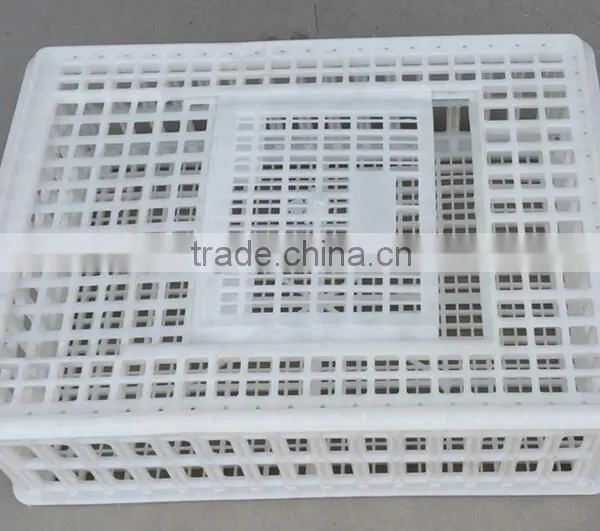Transport Cage for Chicken/ 100$ Pure Plastic Poultry Transport Cage/Agricultural Plastic Crates for Chicken Transportation