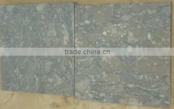 PFM Chinese xiamen luxury marble fossil brown marble
