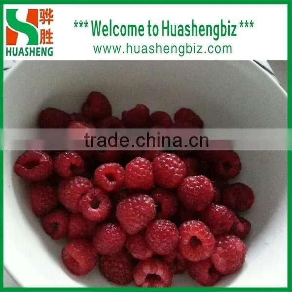 Wholesale Bulk Frozen Raspberries/Frozen Raspberries Price/Frozen Raspberry