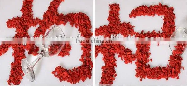 2016 China Natural Red Goji Berry Customized Package photo-4