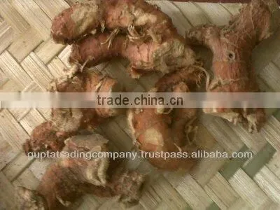 Galangal Root