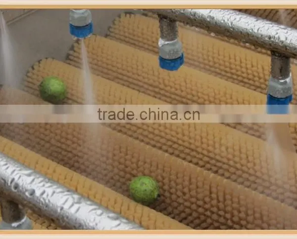 New Condition Commercial Washing Machine Fruit Washing Machine / Vegetable Washing Machine Apple Washer With Brush Rollers photo-4