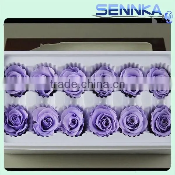 Factory Export High Quality Fresh Preserved Rose Flower From China photo-4
