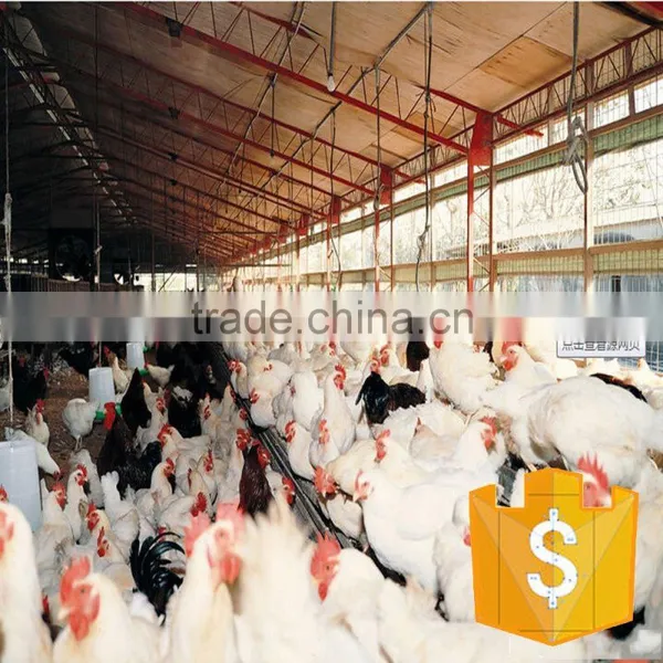 China Cheapest Automatic Feeder Pan and Drinker Nipples photo-5
