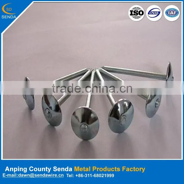 Galvanized Roofing Nails/ Iron Wire Nails Factory From Anping photo-3