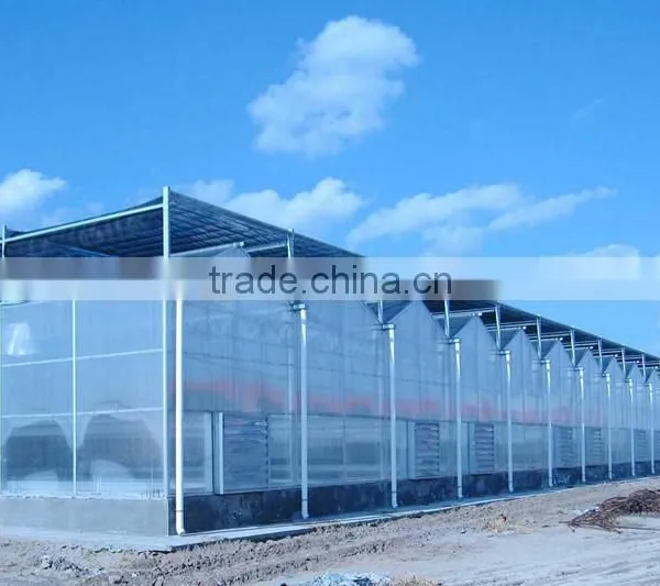 Mushroom Polycarbonate Greenhouse Material photo-3