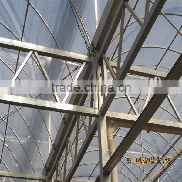 Modern Design Low Cost / Cheap Glass Green Houses for Agriculture photo-5