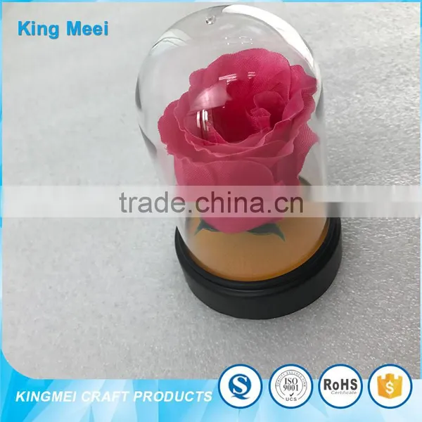 Transparent Clear Acrylic Flowers Box World Globe Dome photo-3
