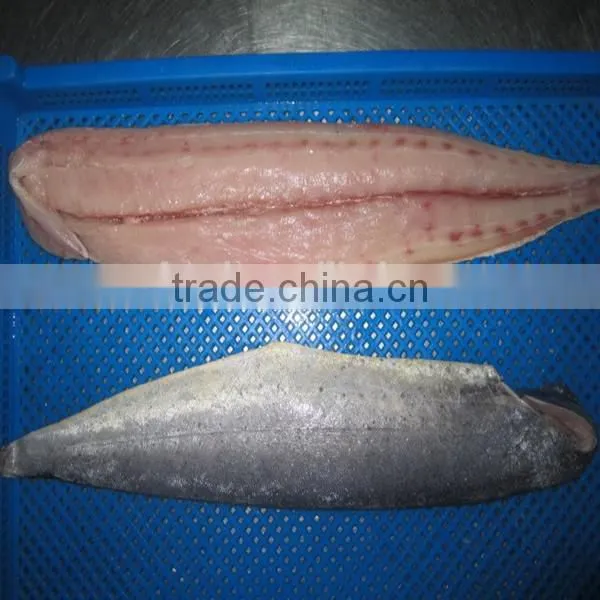 Fast Delivery Sea Frozen Mahi Mahi Portion 400-800g/pc