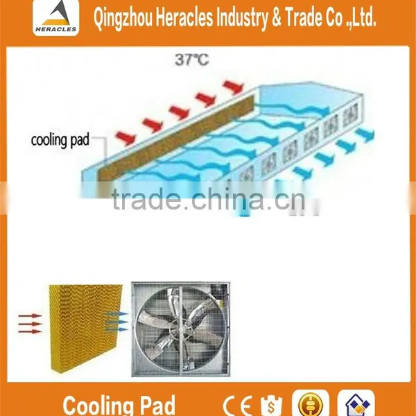 Heracles Trade Assurance Poultry Farm Ventilation Fans photo-6