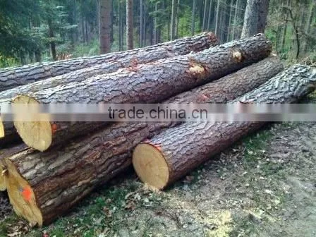 Pine Logs