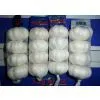High Quality Fresh Garlic Price photo-3