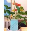China Color Painted/Lacquered Glass With CE&ISO9001 photo-3