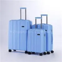 Men Luggage